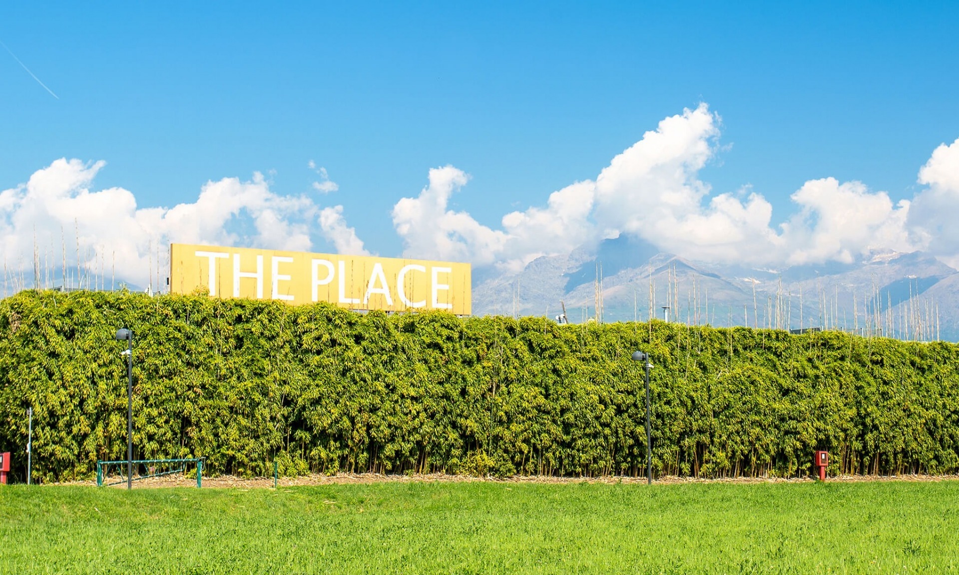 The Place